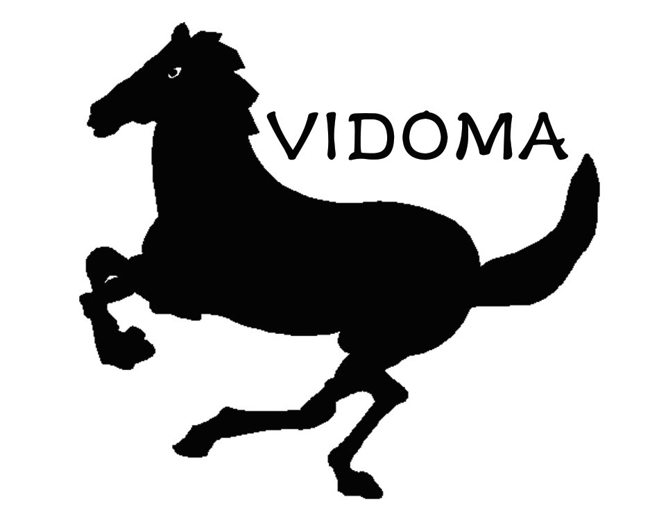 维多玛信息科技有限公司